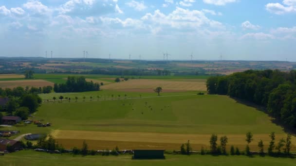 Větrné Turbíny Stromy Slunečním Svitem Německu — Stock video
