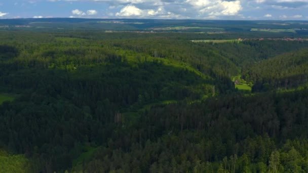 Widok Lotu Ptaka Edelweiler Niemczech Czarnym Lesie — Wideo stockowe