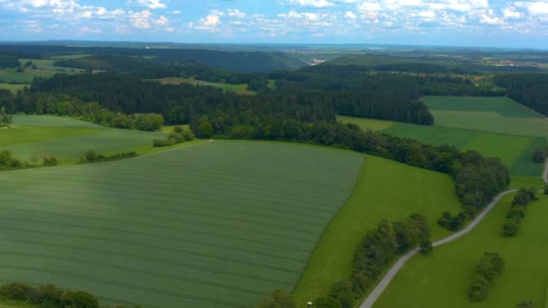 Vista Aérea Floresta Negra Filmagens Torno Duerrenmettstetten Alemanha — Vídeo de Stock