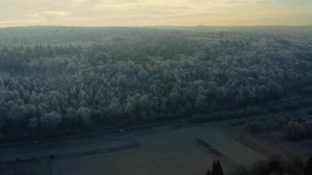 Létání Nad Zamrzlými Stromy Černém Lese Slunečného Zimního Rána — Stock video