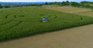 Yazın güneşli bir günde Fil mısır labirentinin havadan görünüşü