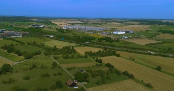 Vue Aérienne Labyrinthe Maïs Elephant Par Une Journée Ensoleillée Été — Video