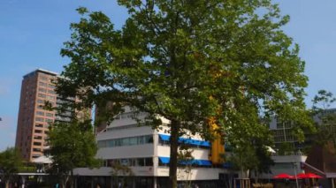 Rotterdam, Hollanda 'da Rotterdam Pazar Salonu Yazın güneşli bir günde