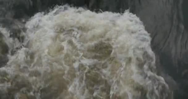 Biała Woda Rzece Dużą Ilością Wody — Wideo stockowe