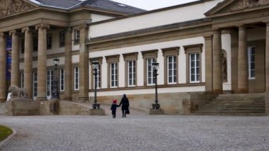 Rosenstein Sarayı 'nda Doğal Tarih Müzesi Stuttgart.