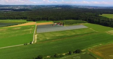 Yazın güneşli bir günde Almanya 'daki tarlaların havadan görünüşü