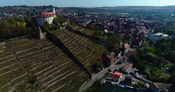 Letecký Pohled Hrad Kaltenstein Vaihingenu Der Enz Slunečného Letního Rána — Stock video