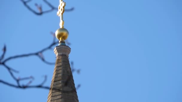 Ludwigsburg Kerk Friedenskirche Zonnige Dag Herfst — Stockvideo