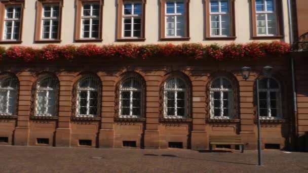 Heidelberg Una Mañana Soleada Verano Zona Peatonal Del Centro Ciudad — Vídeo de stock