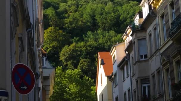 Heidelberg Una Mañana Soleada Verano Zona Peatonal Del Centro Ciudad — Vídeos de Stock