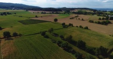 Yazın güneşli bir günde Almanya 'da Bodensee, Konstanz Gölü' nün havadan görünüşü