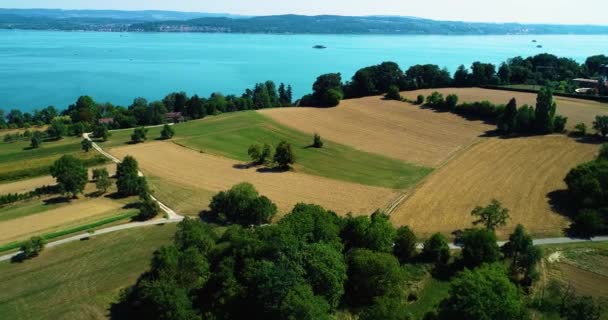 Veduta Aerea Del Lago Konstanz Bodensee Germania Una Giornata Sole — Video Stock