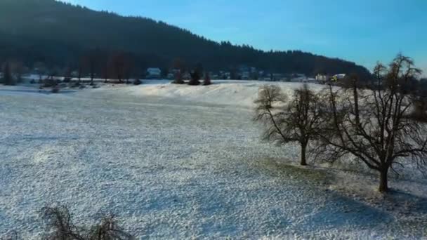 Légi Felvétel Város Badenweiler Németországban Fekete Erdőben Egy Kora Reggeli — Stock videók