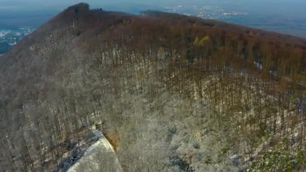 Luftaufnahme Des Schwarzwaldes Deutschland Baden Württemberg Einem Sonnigen Wintertag Der — Stockvideo