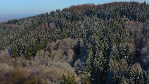 ドイツの黒い森の空中風景 村の近くの晴れた冬の日にバーデン ロッテルベルク — ストック動画