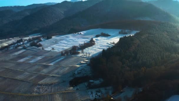 Luftaufnahme Des Schwarzwaldes Deutschland Baden Württemberg Einem Sonnigen Wintertag Der — Stockvideo