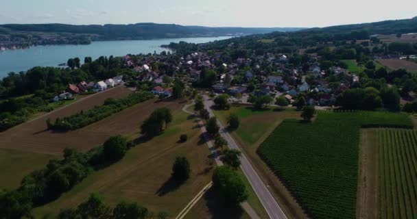 夏の晴れた日にドイツのボーデンゼー湖の空中風景 — ストック動画
