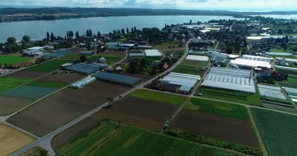 Luftaufnahme Der Insel Reichenau Bodensee Einem Trüben Sommermorgen — Stockvideo