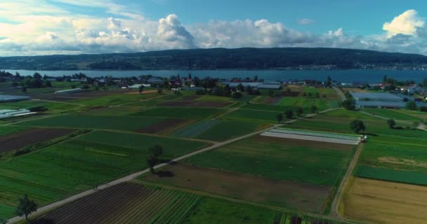 Aerial View Island Reichenau Bodensee Cloudy Morning Summer — Stock Video