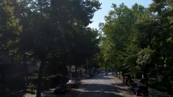 Hamburg Sokaklarında Uçmak Almanya Bir Şehir Yazın Güneşli Bir Günde — Stok video