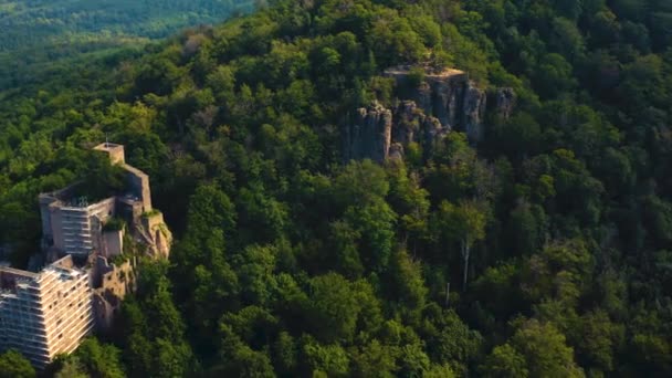 Vista Aérea Alrededor Ciudad Castillo Baden Baden Hohenbaden — Vídeo de stock