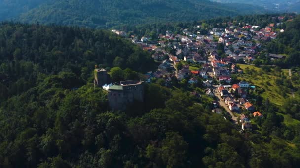 Luchtfoto Van Het Kasteel Burg Alt Eberstein Het Dorp Eberstein — Stockvideo