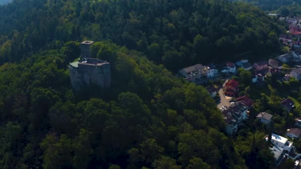 城の空中ビューブルグAlt Ebersteinと村Eberstein — ストック動画