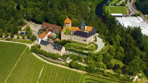 Vista Aérea Palácio Castelo Schloss Eberstein Alemanha Dia Ensolarado Verão — Vídeo de Stock