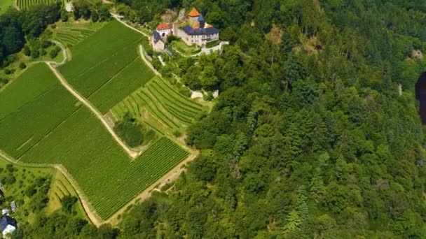 Повітряний Вид Замку Schloss Eberstein Німеччині Сонячний День Влітку — стокове відео