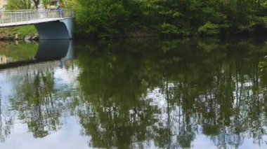 Kırlangıç sürüsü yazın yavaş çekimde bir nehrin üzerinde hızla uçuyor.