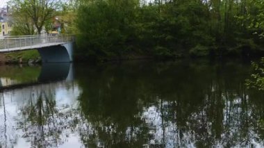 Kırlangıç sürüsü yazın yavaş çekimde bir nehrin üzerinde hızla uçuyor.