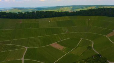 İlkbaharda güneşli bir günde Almanya 'nın Heilbronn kentindeki üzüm bağlarının hava manzarası.
