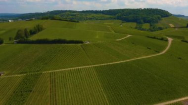 Almanya 'daki Neckarsulm şehrinin etrafındaki üzüm bağlarının güneşli bir baharda havadan görünüşü.