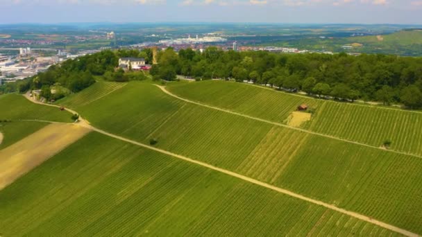 Vista Aérea Vinhedos Redor Cidade Neckarsulm Alemanha Dia Ensolarado Primavera — Vídeo de Stock