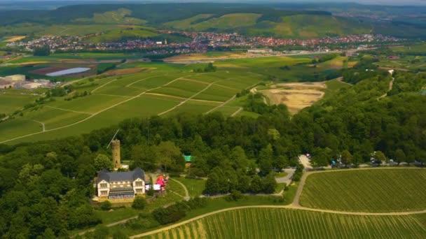 독일의 네카르 주변에 포도원들을 공중에서 — 비디오