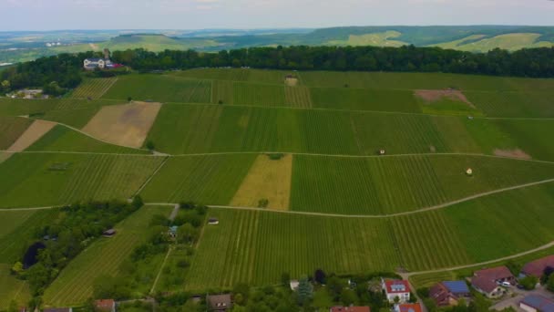 Aerial View Vineyards City Heilbronn Germany Sunny Day Spring — Stock Video