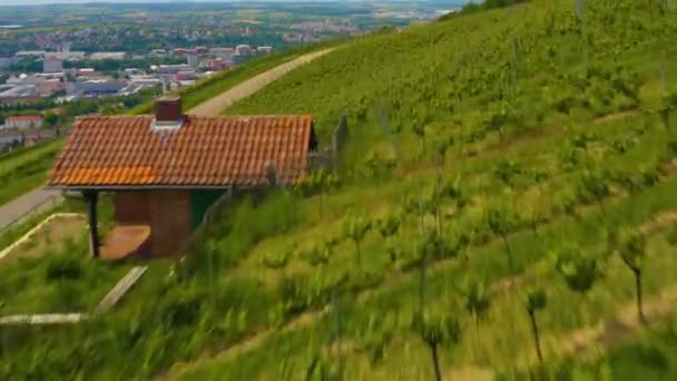 Aerial View Vineyards City Heilbronn Germany Sunny Day Spring — Stock Video