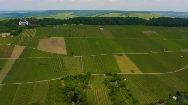 Aerial View Vineyards City Heilbronn Germany Sunny Day Spring — Stock Video