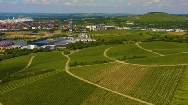Aerial View Vineyards City Neckarsulm Germany Sunny Day Spring — Stock Video