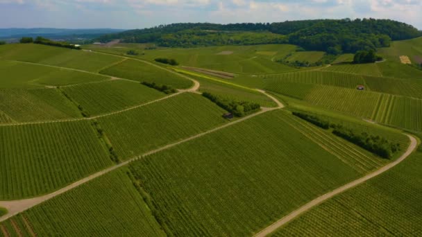 Widok Powietrza Winnice Wokół Miasta Neckarsulm Niemczech Słoneczny Dzień Wiosną — Wideo stockowe