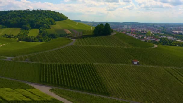 Luftaufnahme Der Weinberge Rund Die Stadt Neckarsulm Einem Sonnigen Frühlingstag — Stockvideo