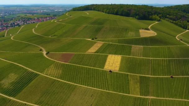 Vista Aérea Torno Cidade Binswangen Alemanha — Vídeo de Stock