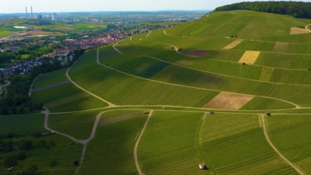 Αεροφωτογραφία Γύρω Από Την Πόλη Binswangen Στη Γερμανία — Αρχείο Βίντεο