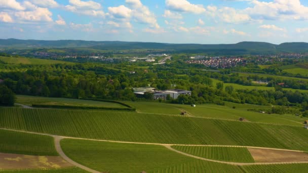 Veduta Aerea Dei Vigneti Intorno Binswangen Germania — Video Stock