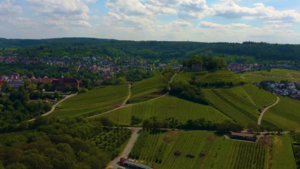 Aerial View Vineyards Binswangen Germany — Stock Video