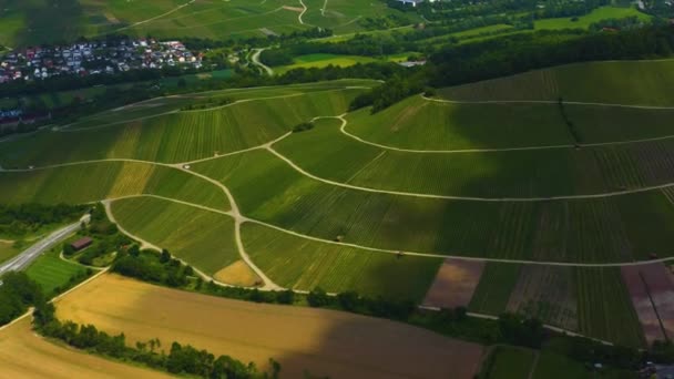 Aerial View Vineyards City Heilbronn Germany Sunny Day Spring — Stock Video