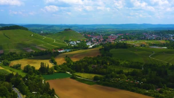 Aerial View Vineyards City Heilbronn Germany Sunny Day Spring — Stock Video