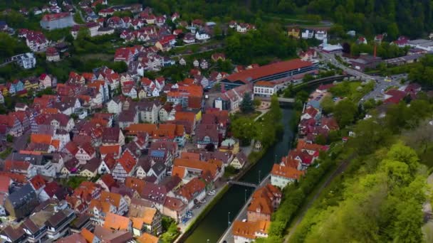 Vista Aérea Cría Ciudad Bosque Negro Alemania Día Soleado Primavera — Vídeo de stock