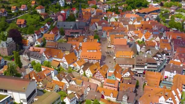 Vista Aérea Cría Ciudad Bosque Negro Alemania Día Soleado Primavera — Vídeos de Stock