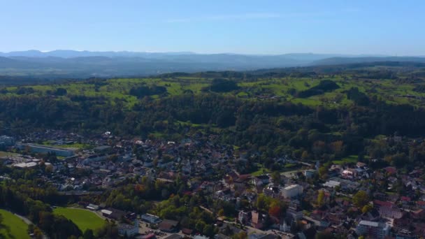 공중에서 독일의 베어의 가을의 — 비디오